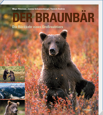 Buch „DER BRAUNBÄR“