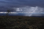 Landschaften / Landscapes