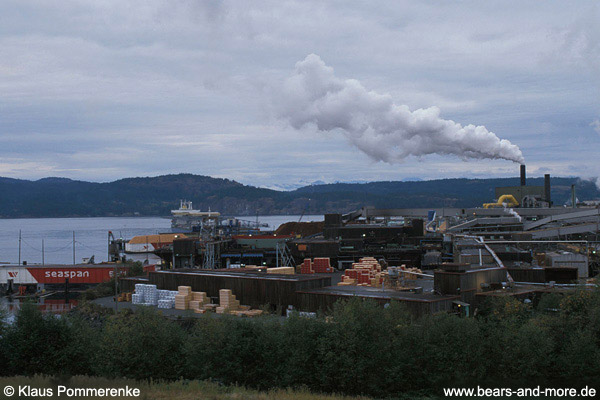 Holzverarbeitung in BC / Processing wood in BC