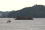 Holzfloß im Great Bear Rainforest / Log barge in the Great Bear Rainforest